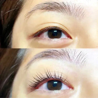 Luxe Lash Lift Kit + Free Eyebrow and Eyelash Tint Luxe Cosmetics US